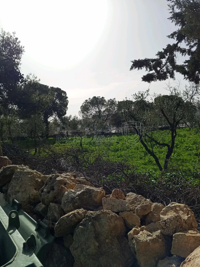 أرض في ناعور حوض اليرموك  الروضه الشارع الرئيسي - 75,000 دأ - صورة 1