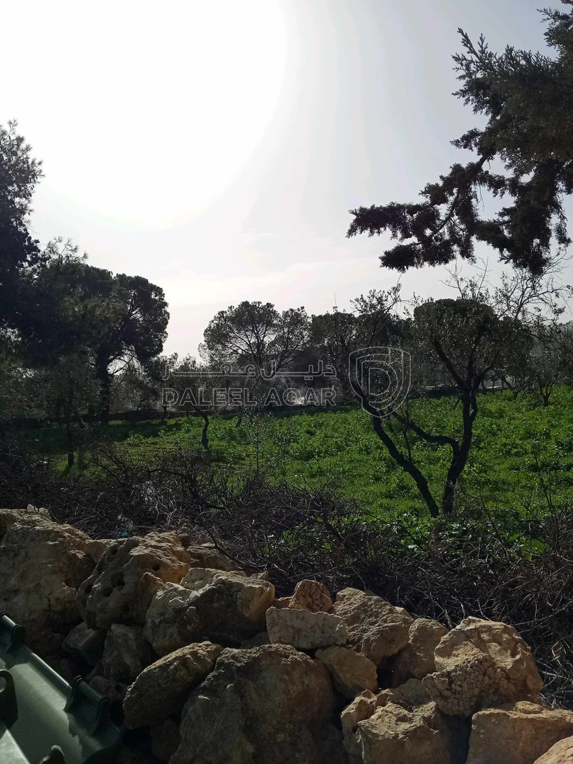 أرض في ناعور حوض اليرموك  الروضه الشارع الرئيسي - 75,000 دأ - صورة 1