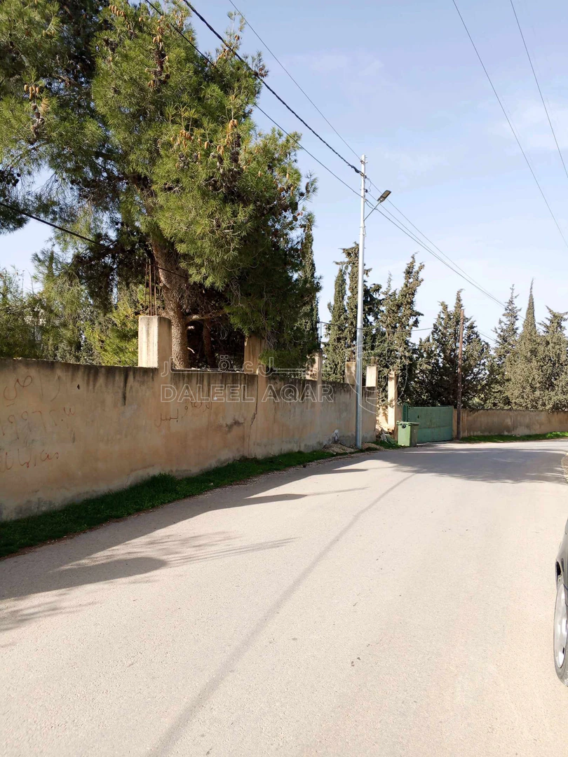 أرض في ناعور حوض اليرموك  الروضه الشارع الرئيسي - 75,000 دأ - صورة 1