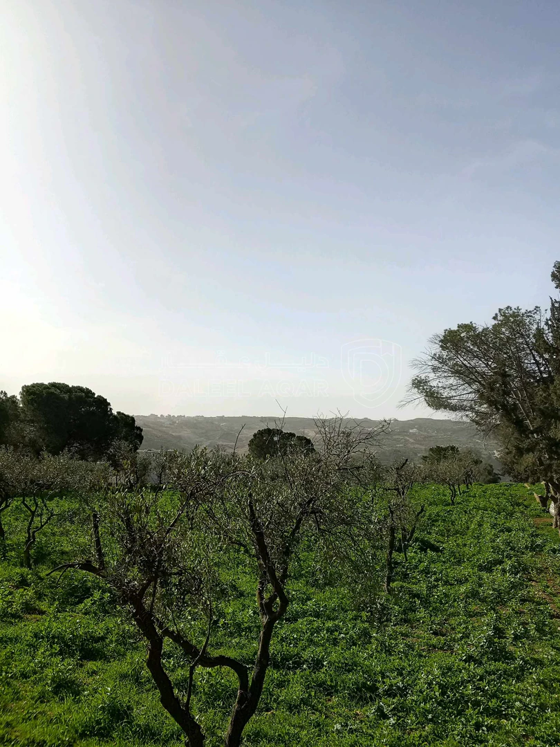 أرض في ناعور حوض اليرموك  الروضه الشارع الرئيسي - 75,000 دأ - صورة 1