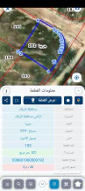 أرض - خلف قصر موسى السعد  - 20000 دأ