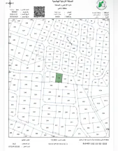 أرض - الحويطي - 295000 دأ