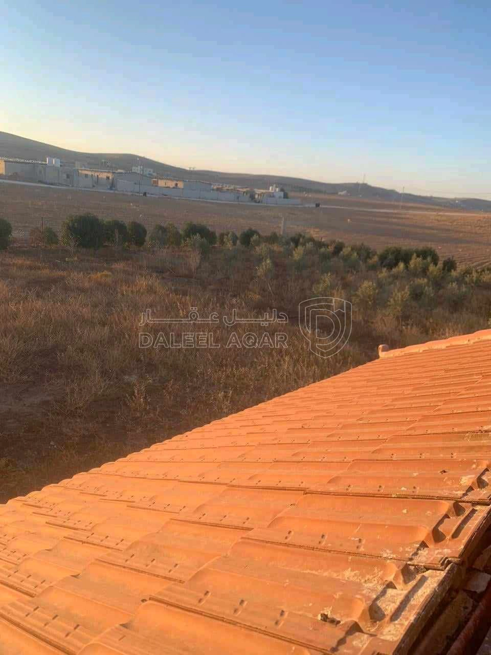 مزرعة/شاليه في الرمثا الجوبا الشرقية  - 85,000 دأ - صورة 1