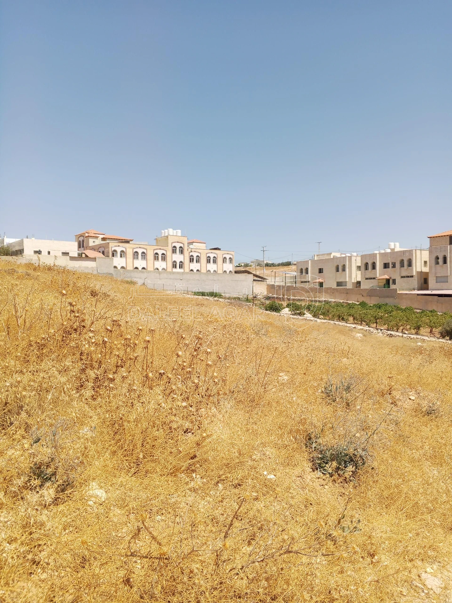 أرض في 3دوتمات سكن ا ام الشوامر حسبان بسعر 200الف للجادين - 200,000 دأ - صورة 1