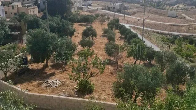 أرض في مادبامنطقة مليح بعد الاشارة الضوئية ب50 متر - 26,000 دأ - صورة 1