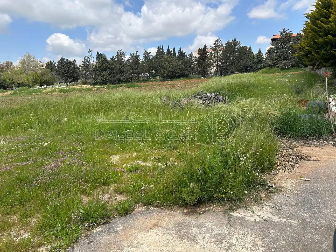 أرض في الحمر  - 300,000 دأ - صورة 1