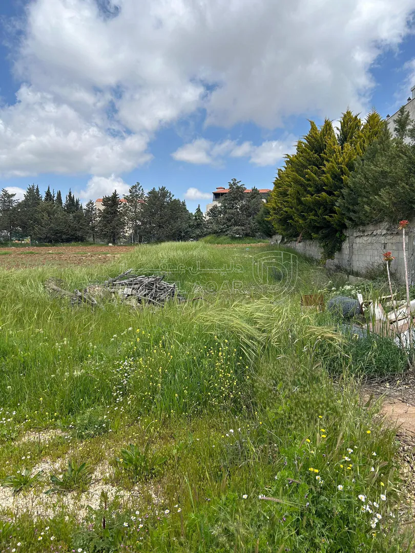 أرض في الحمر  - 300,000 دأ - صورة 1