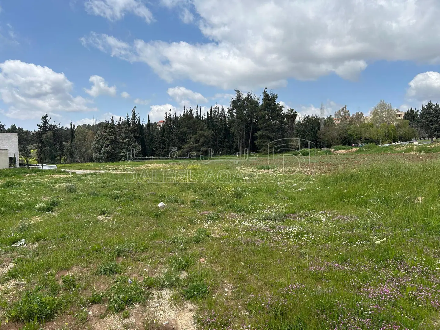 أرض في الحمر  - 300,000 دأ - صورة 1