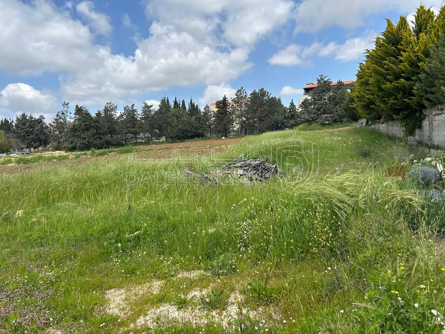 أرض في الحمر  - 300,000 دأ - صورة 1