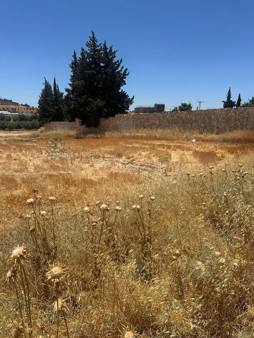 أرض في ناعور ابو العساكر خلف مدارس الشويفات - 109,000 دأ - صورة 1