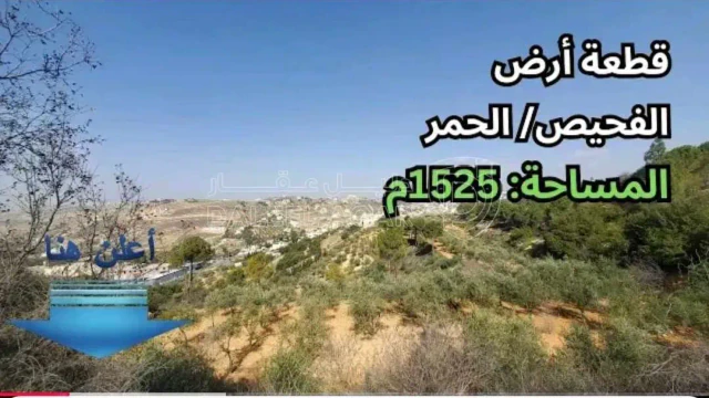أرض - قطعة أرض في الفحيص/ الحمر - قرب إشارة أم النعاج - 450000 دأ
