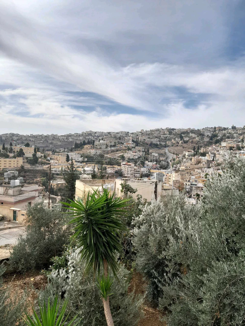 فيلا/منزل في السلط السلالم خلف مدرسة اليمامة - 220,000 دأ - صورة 1