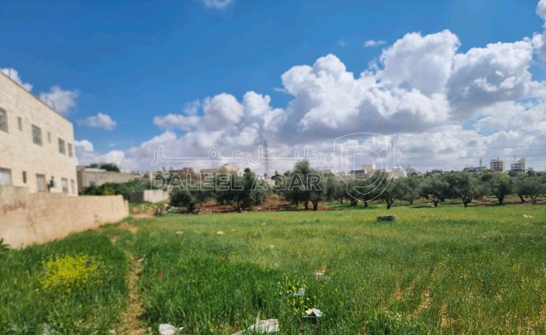 أرض في عمان الجويده مستندات ام زعروره ٤ - 45,000 دأ - صورة 1