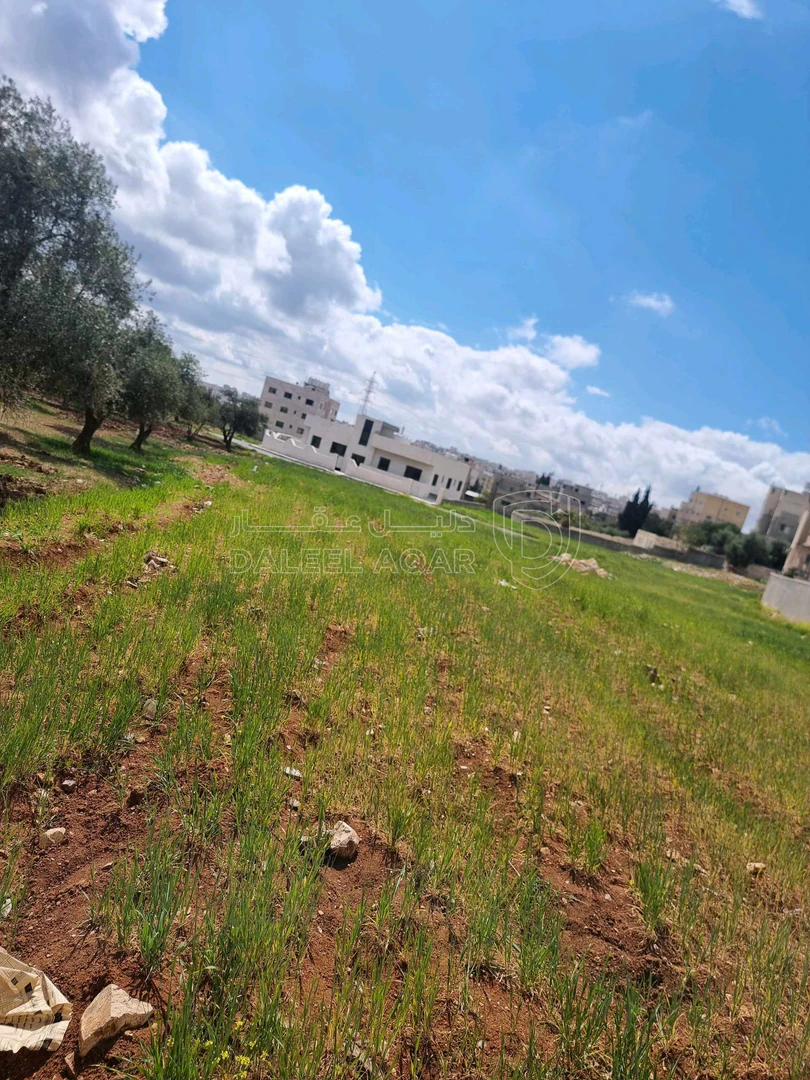 أرض في عمان الجويده مستندات ام زعروره ٤ - 45,000 دأ - صورة 1
