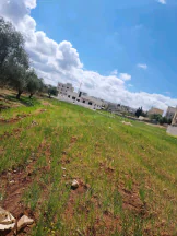 أرض في عمان الجويده مستندات ام زعروره ٤ - 44,000 دأ - صورة NaN
