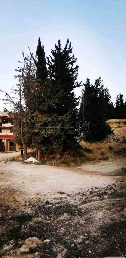 أرض في الكمالية  - 200,000 دأ - صورة 1