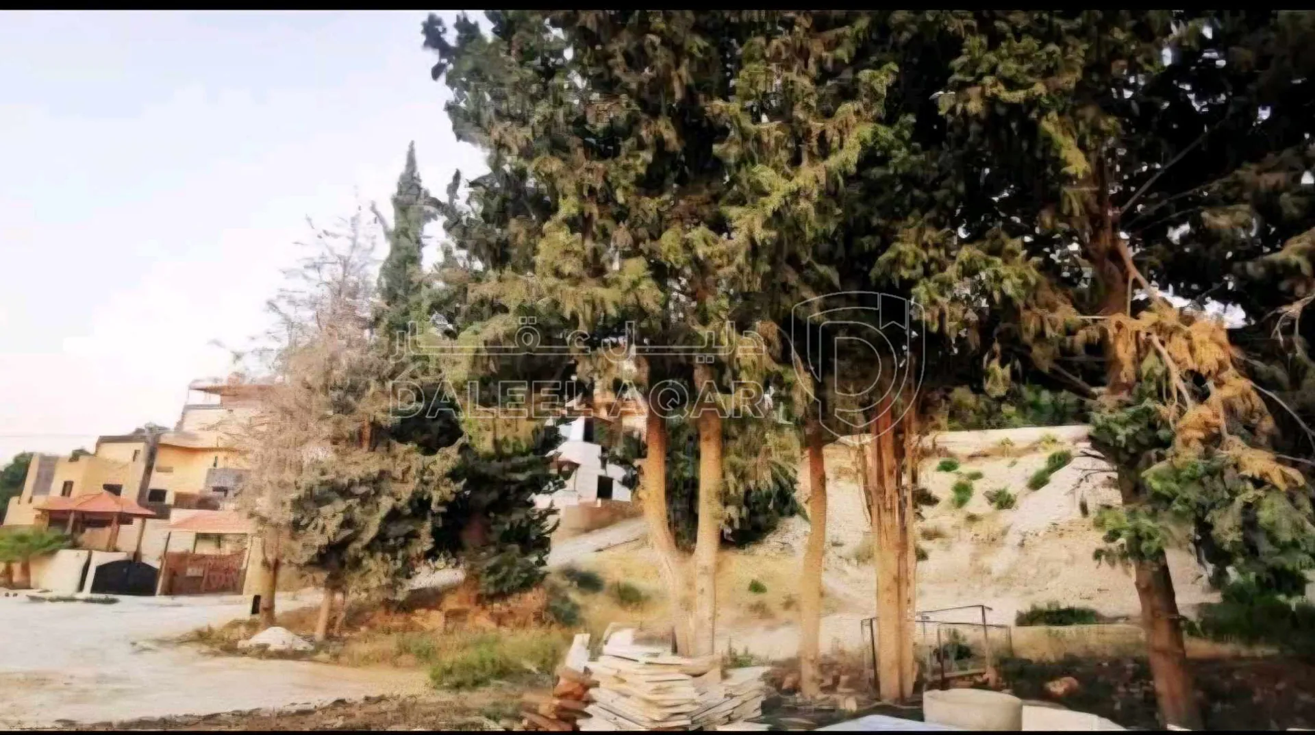 أرض في الكمالية  - 200,000 دأ - صورة 1