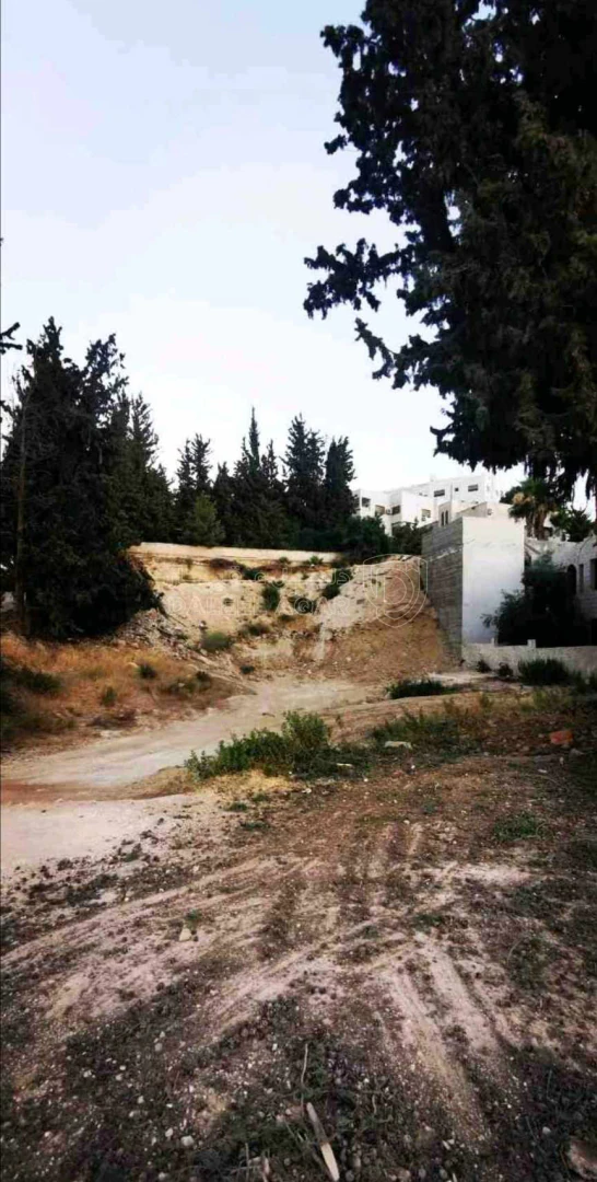 أرض في الكمالية  - 200,000 دأ - صورة 1