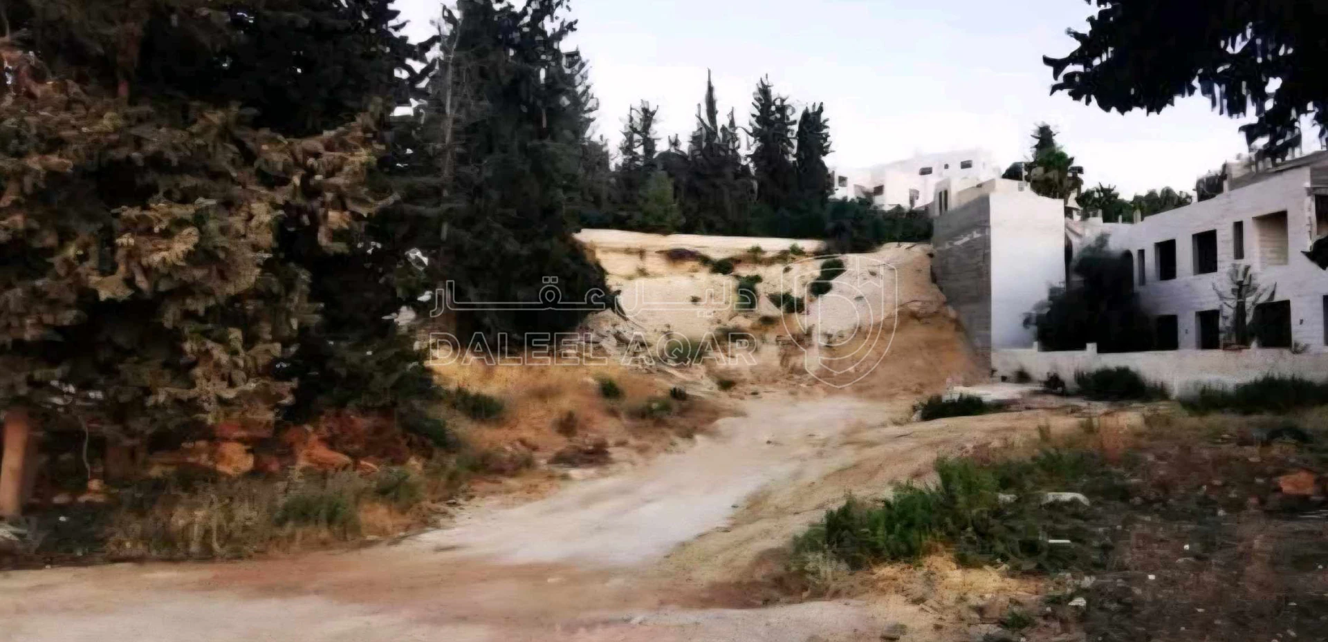 أرض في الكمالية  - 200,000 دأ - صورة 1