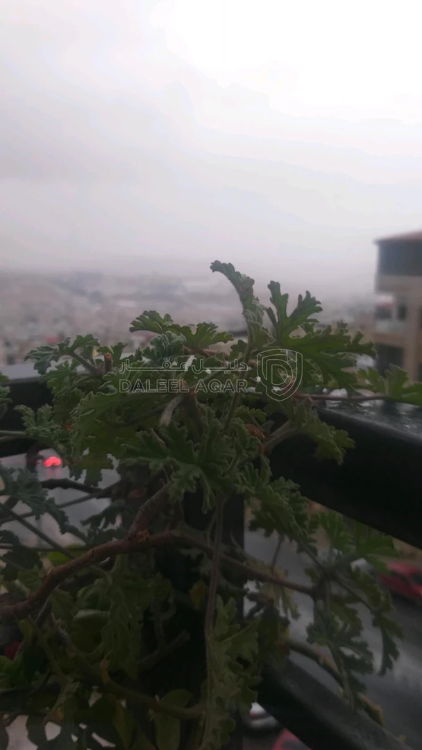 شقة في عمان الجبيهة بجانب مسجد القدس الشريف - 95,000 دأ - صورة 1