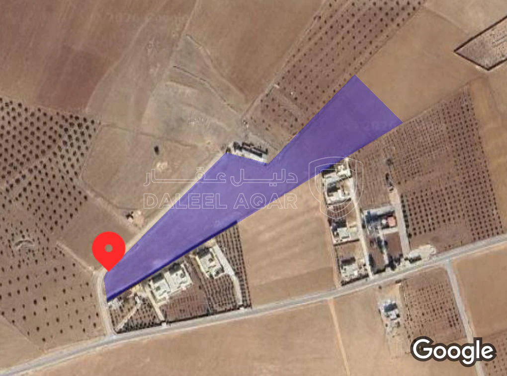 أرض في المفرق  البيضه الغريبه  - 11,000 دأ - صورة 1