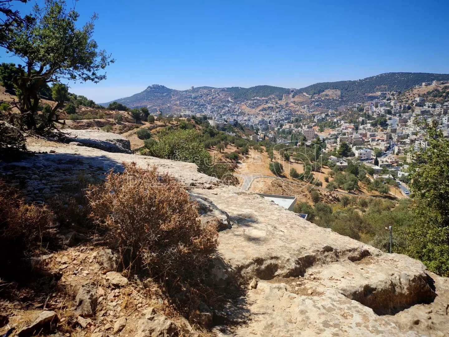 أرض في عجلون عين جنا - 70,000 دأ - صورة 1