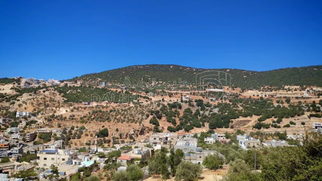 أرض - عجلون عين جنا  - 70000 دأ