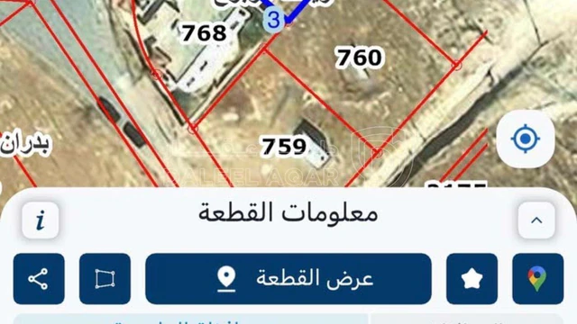 أرض في شمال عمان - زينات الربوع - 75,000 دأ - صورة NaN