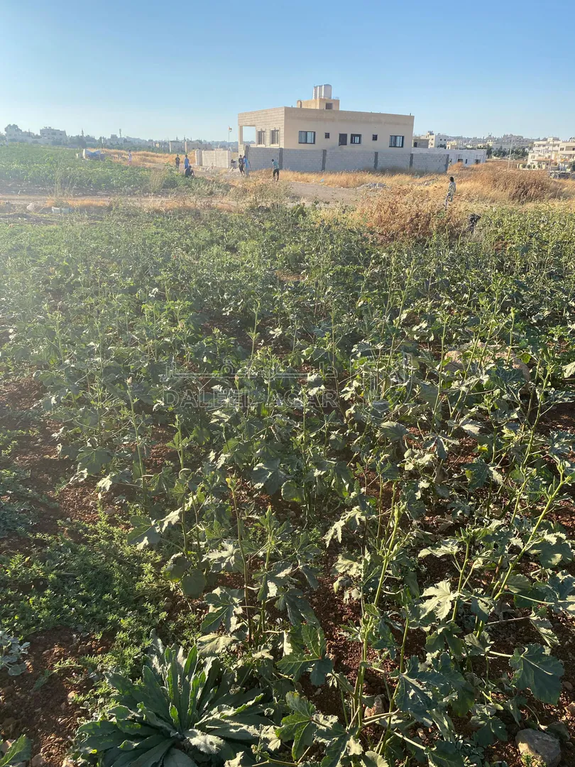 أرض في عمان جاوا  - 47,000 دأ - صورة 1