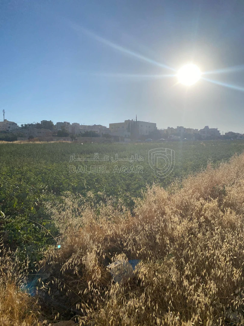 أرض في عمان جاوا  - 47,000 دأ - صورة 1