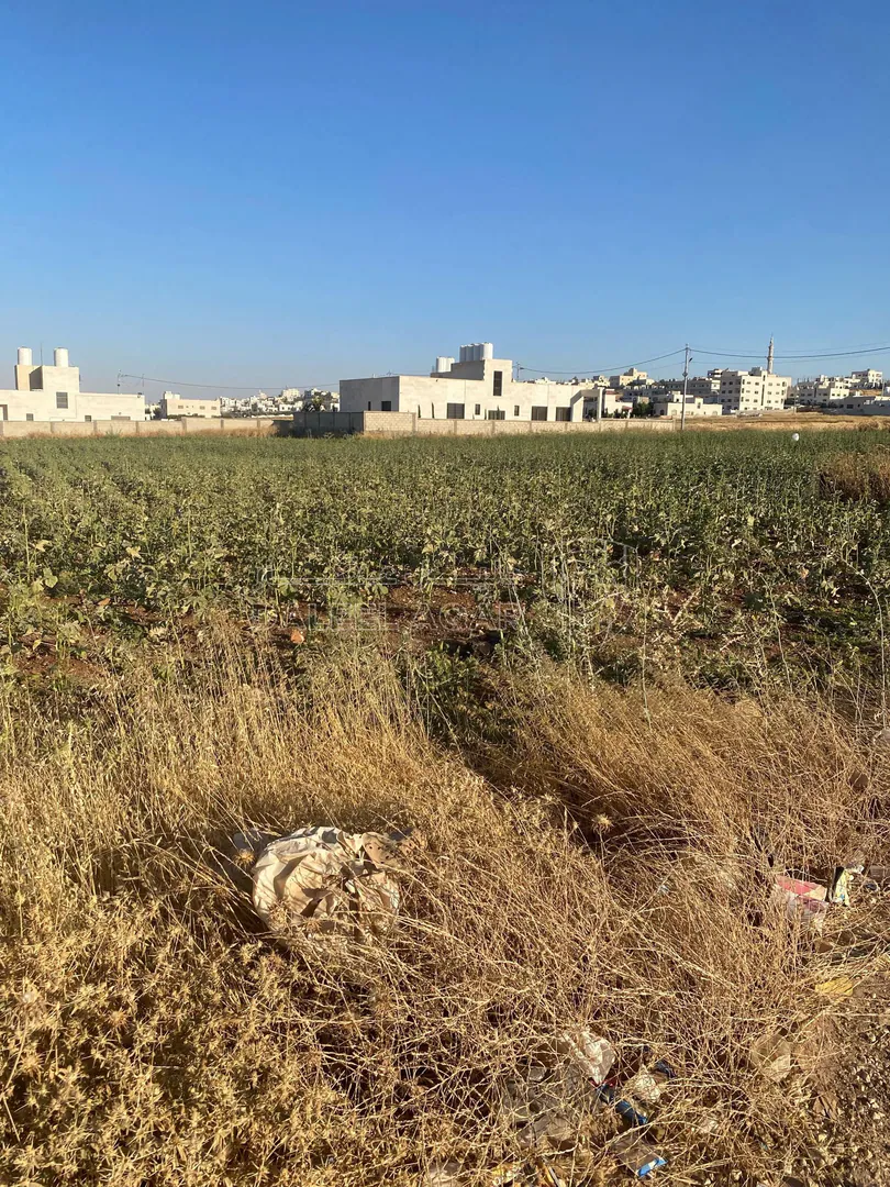 أرض في عمان جاوا  - 47,000 دأ - صورة 1