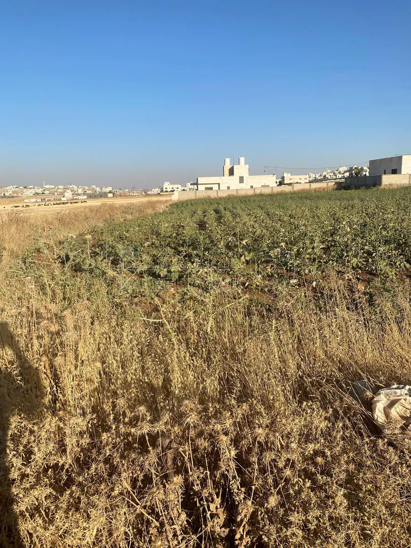 أرض في عمان جاوا  - 47,000 دأ - صورة 1