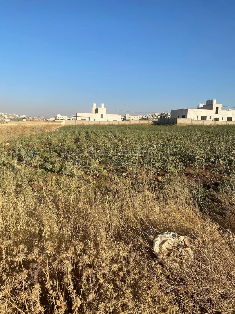 أرض في عمان جاوا  - 47,000 دأ - صورة 1