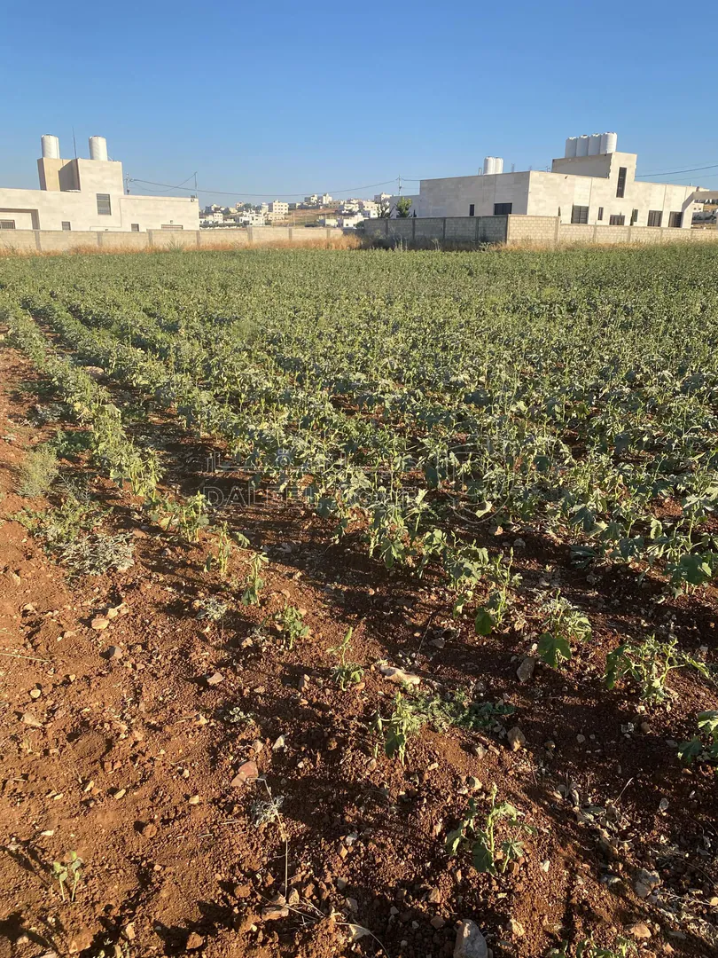 أرض في عمان جاوا  - 47,000 دأ - صورة 1