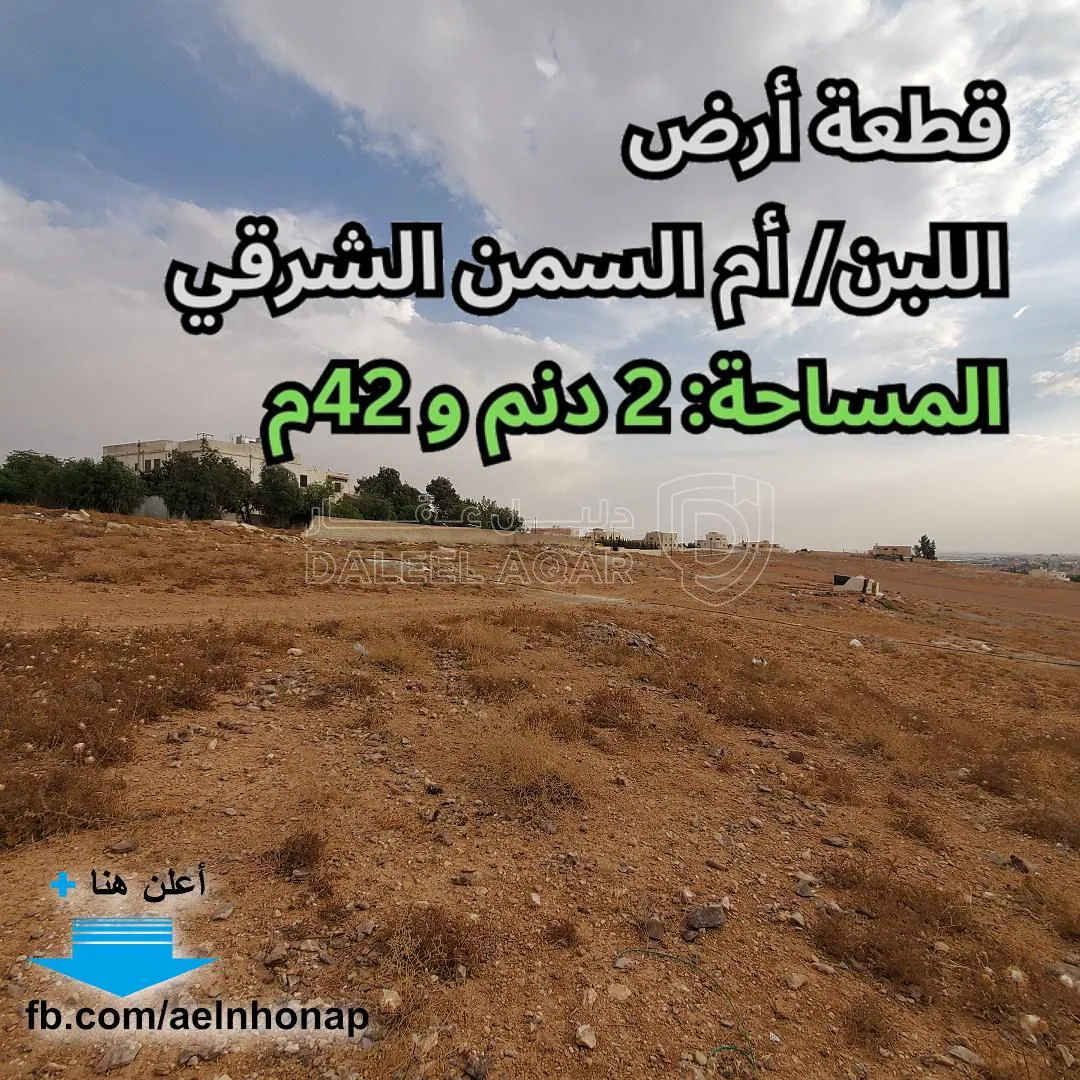 أرض في أم السمن الشرقي - تبعد 900م عن مسجد اللبن القديم - 60,000 دأ - صورة 1