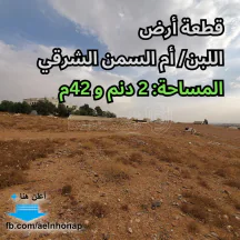 أرض - أم السمن الشرقي - تبعد 900م عن مسجد اللبن القديم - 60000 دأ