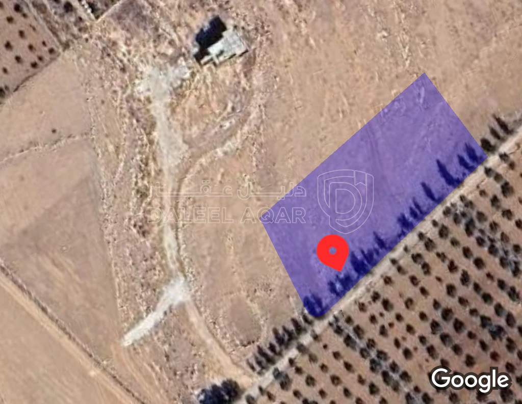 أرض في بلعما منطقة عين والمعمريه - 17,000 دأ - صورة 1