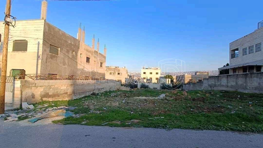 أرض في عين الباشا - 70,000 دأ - صورة 1
