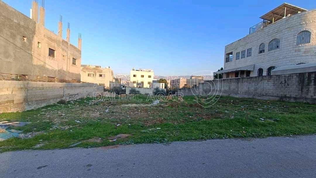 أرض في عين الباشا - 70,000 دأ - صورة 1