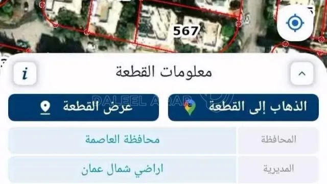 أرض - عين الباشا - 70000 دأ