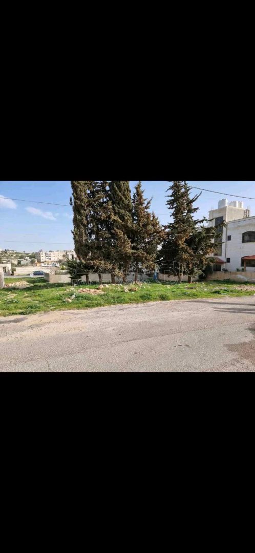 أرض في عمان - ناعور حوض صبحه - 49,000 دأ - صورة 1