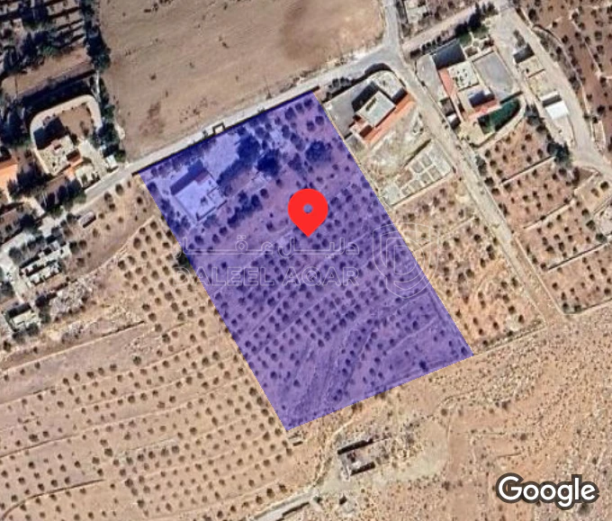 أرض في الزرقاء بيرين - 250,000 دأ - صورة 1