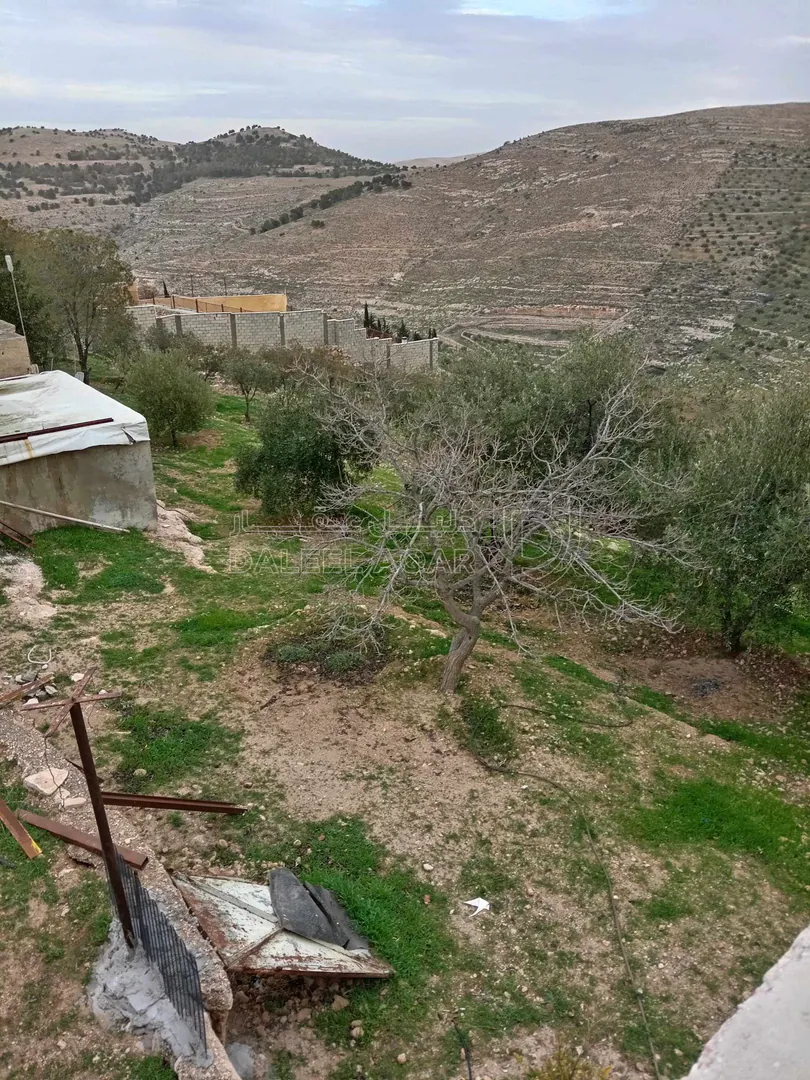 أرض في الزرقاء بيرين - 250,000 دأ - صورة 1