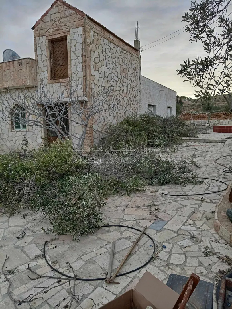 أرض في الزرقاء بيرين - 250,000 دأ - صورة 1
