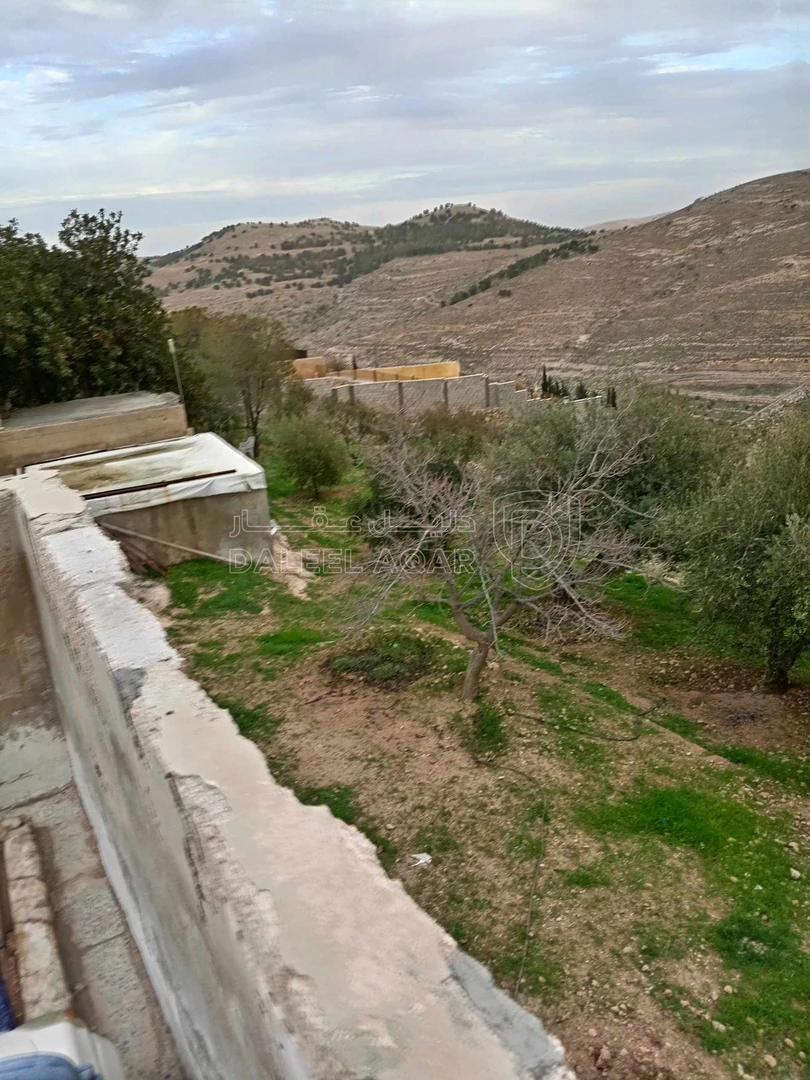 أرض في الزرقاء بيرين - 250,000 دأ - صورة 1