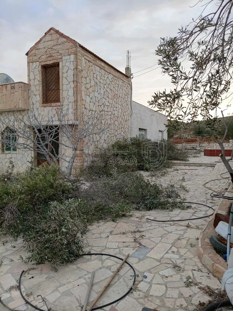 أرض في الزرقاء بيرين - 250,000 دأ - صورة 1