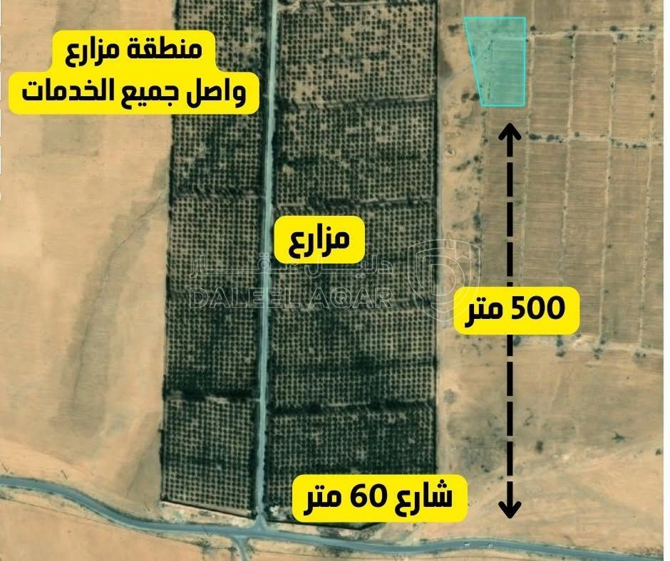 أرض في استثمر في منطقة ضبعة 6 دونمات - 16,250 دأ - صورة 1