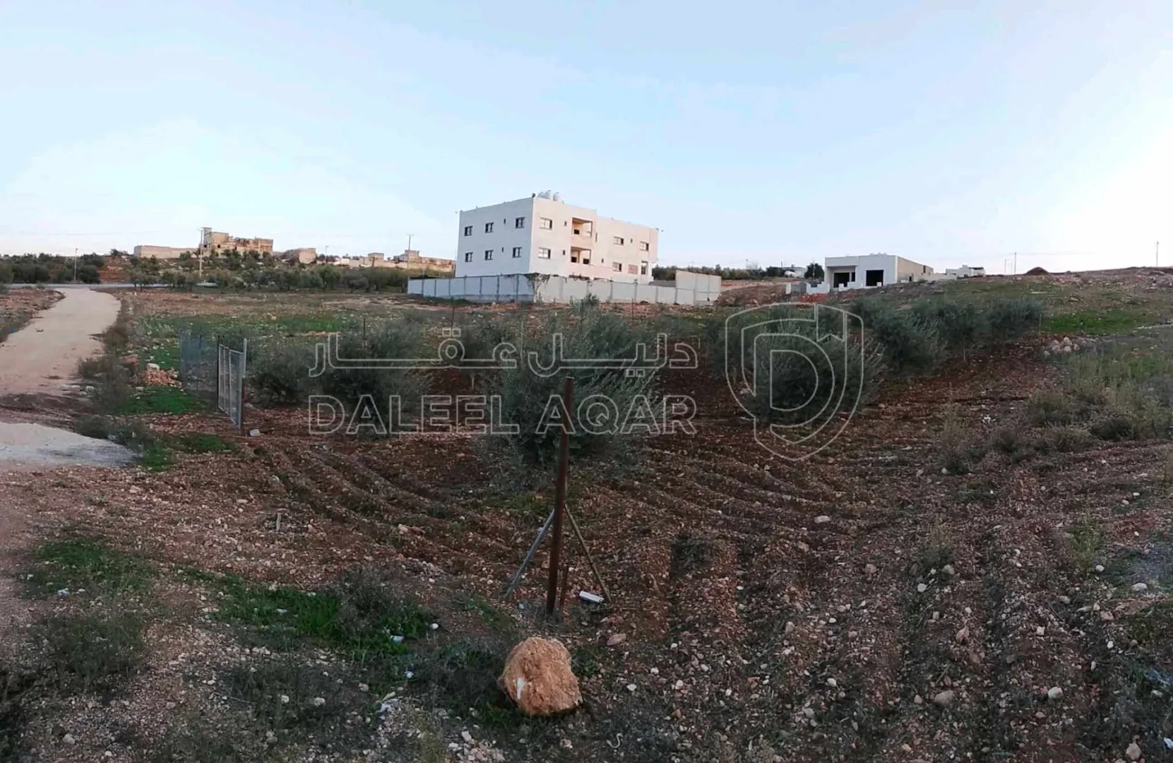 أرض في اربد تقبل مقتل الغوراني - 35,000 دأ - صورة 1