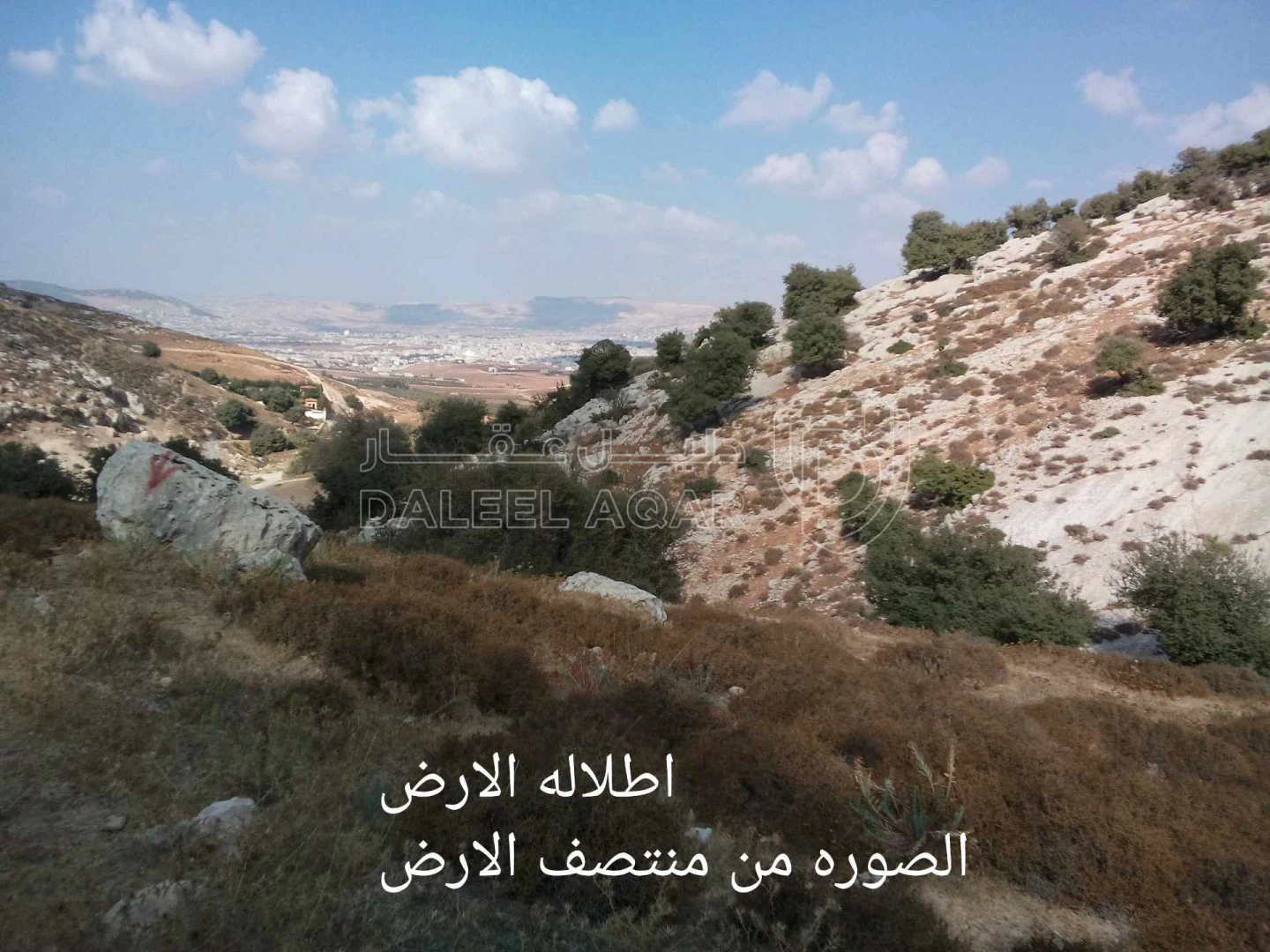 أرض في السرو حي العوايشه دوار الحمر ام النعاج  - 50,000 دأ - صورة 1