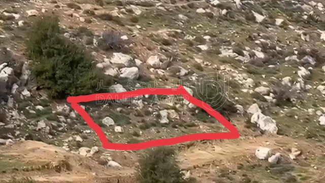 أرض - السرو حي العوايشه دوار الحمر ام النعاج  - 45000 دأ